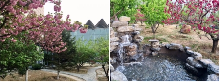 后花園