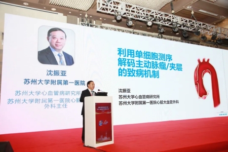 蘇州大學(xué)心血管病研究所所長、蘇州大學(xué)附屬第一醫(yī)院心臟大血管外科主任沈振亞教授作報告
