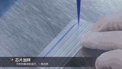 二十三項遺傳性耳聾相關(guān)基因檢測芯片加樣